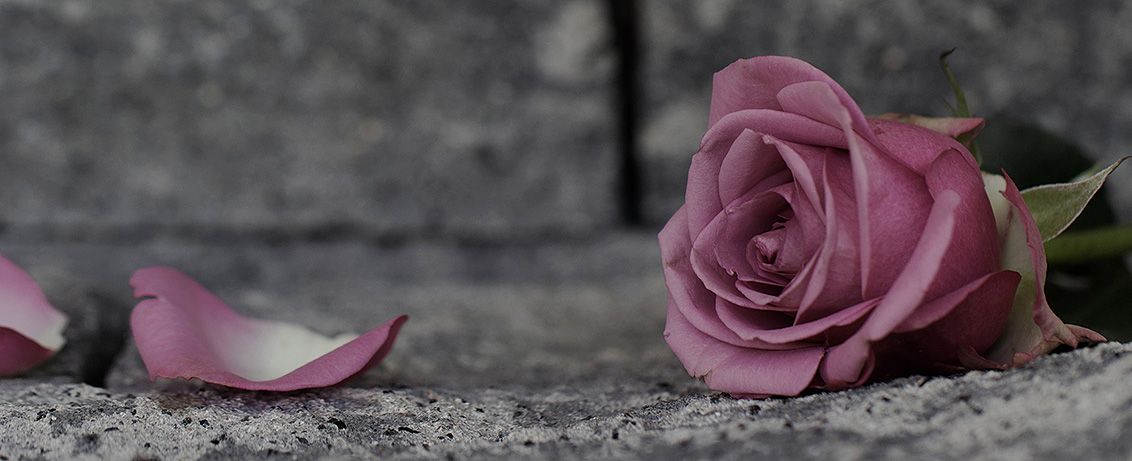 Der Pfarreirat ab 20222